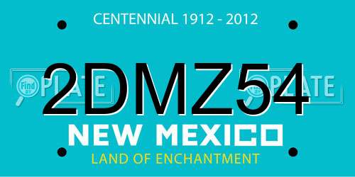 2DMZ54 New Mexico License Plate