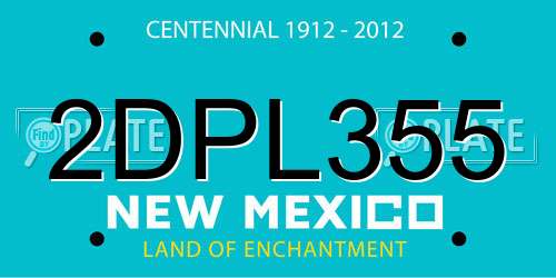2DPL355 New Mexico License Plate