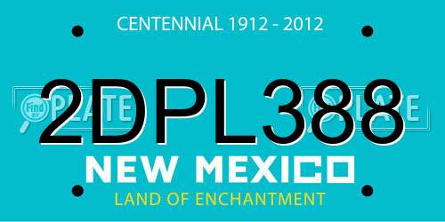 2DPL388 New Mexico License Plate