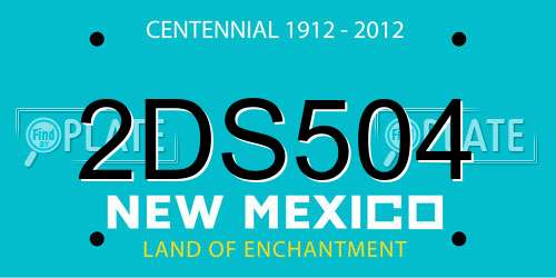 2DS504 New Mexico License Plate
