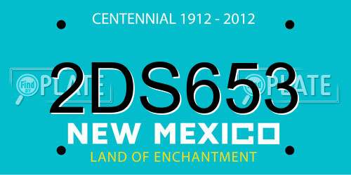 2DS653 New Mexico License Plate