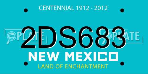 2DS683 New Mexico License Plate