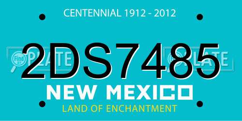 2DS7485 New Mexico License Plate