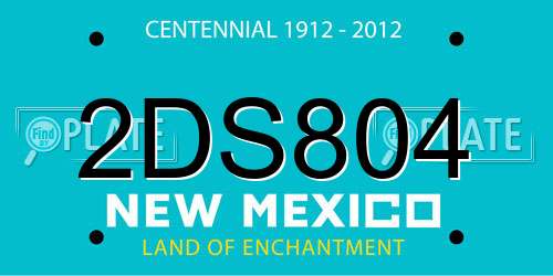 2DS804 New Mexico License Plate