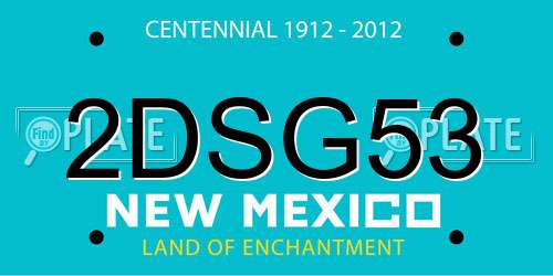 2DSG53 New Mexico License Plate