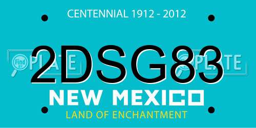 2DSG83 New Mexico License Plate