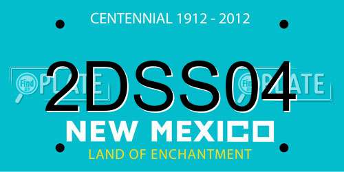 2DSS04 New Mexico License Plate