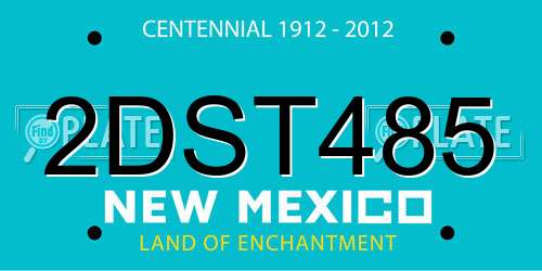 2DST485 New Mexico License Plate