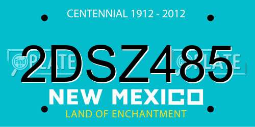 2DSZ485 New Mexico License Plate
