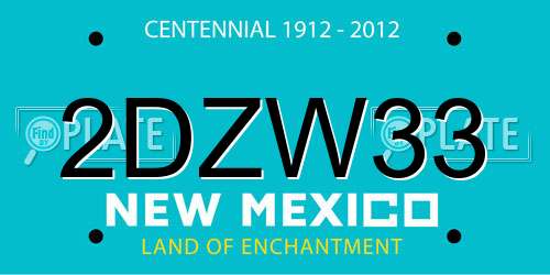 2DZW33 New Mexico License Plate