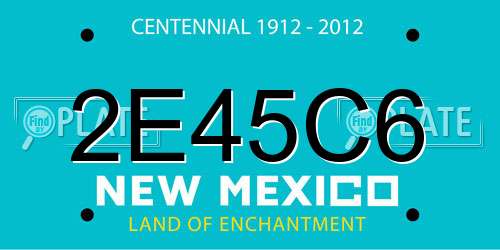 2E45C6 New Mexico License Plate