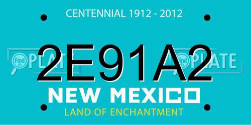 2E91A2 New Mexico License Plate