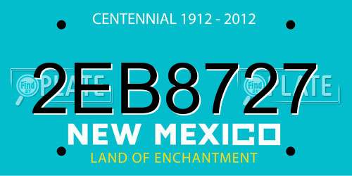 2EB8727 New Mexico License Plate