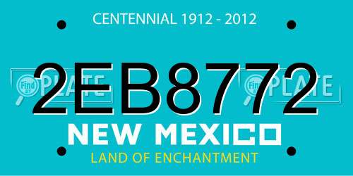 2EB8772 New Mexico License Plate
