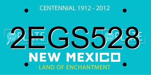 2EGS528 New Mexico License Plate