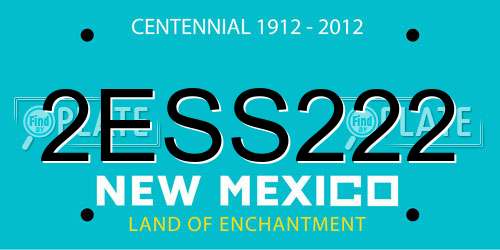 2ESS222 New Mexico License Plate