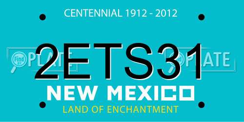 2ETS31 New Mexico License Plate