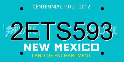 2ETS593 New Mexico License Plate