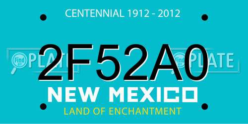 2F52A0 New Mexico License Plate