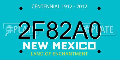 2F82A0 New Mexico License Plate