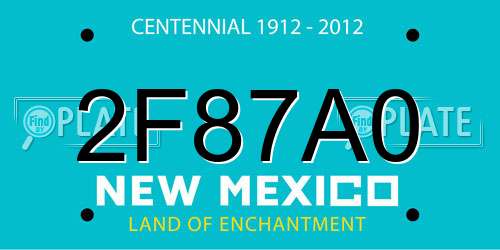 2F87A0 New Mexico License Plate