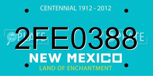 2FE0388 New Mexico License Plate