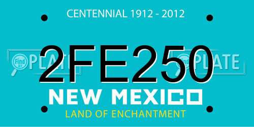 2FE250 New Mexico License Plate