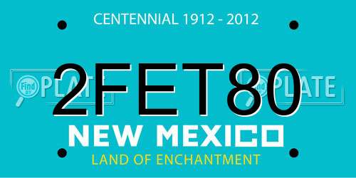 2FET80 New Mexico License Plate