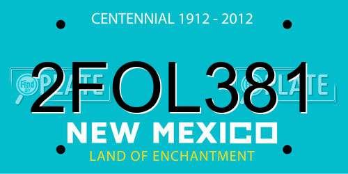 2FOL381 New Mexico License Plate