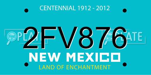 2FV876 New Mexico License Plate