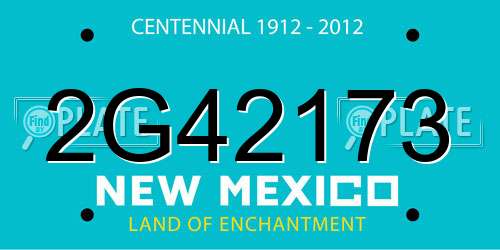 2G42173 New Mexico License Plate