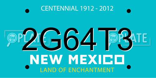 2G64T3 New Mexico License Plate