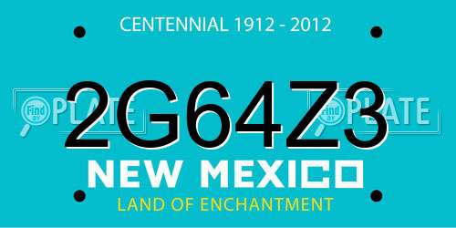 2G64Z3 New Mexico License Plate