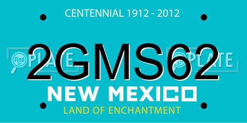 2GMS62 New Mexico License Plate