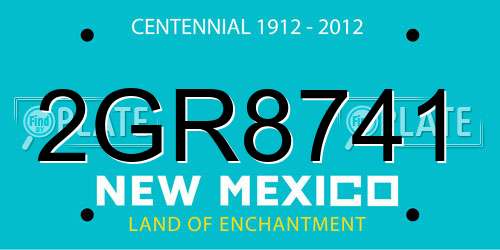 2GR8741 New Mexico License Plate
