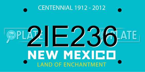 2IE236 New Mexico License Plate