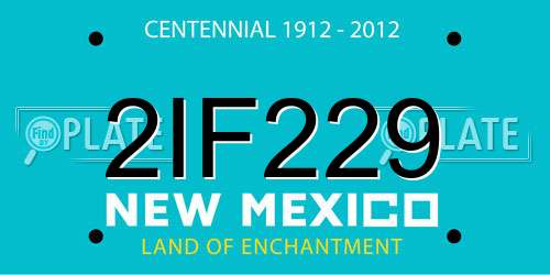 2IF229 New Mexico License Plate