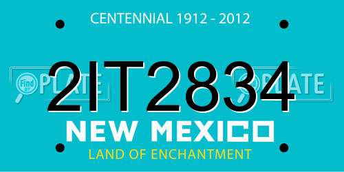 2IT2834 New Mexico License Plate