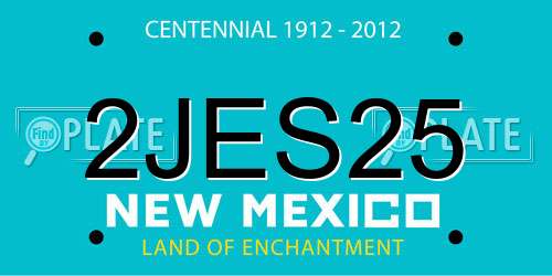 2JES25 New Mexico License Plate
