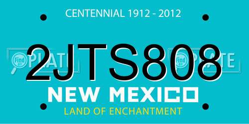 2JTS808 New Mexico License Plate