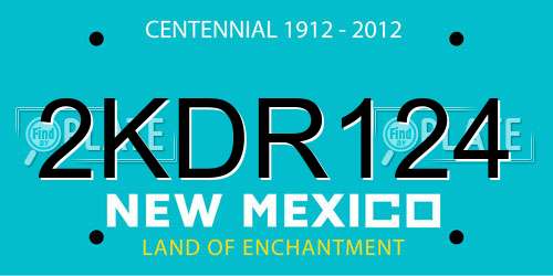 2KDR124 New Mexico License Plate