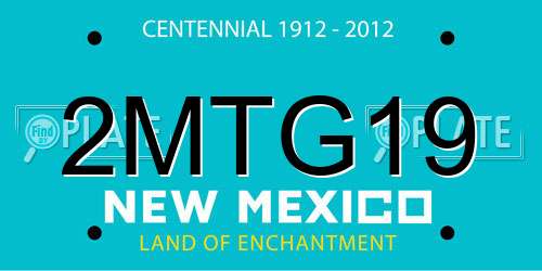 2MTG19 New Mexico License Plate