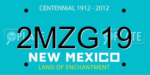 2MZG19 New Mexico License Plate