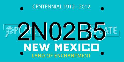 2N02B5 New Mexico License Plate