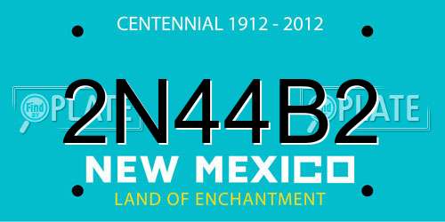 2N44B2 New Mexico License Plate