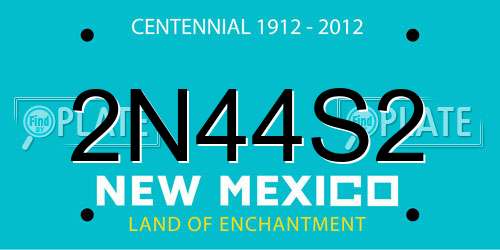 2N44S2 New Mexico License Plate