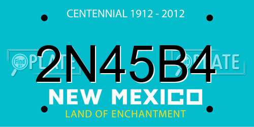 2N45B4 New Mexico License Plate
