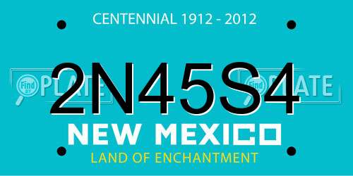 2N45S4 New Mexico License Plate