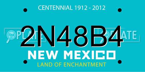 2N48B4 New Mexico License Plate