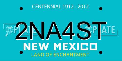 2NA4ST New Mexico License Plate